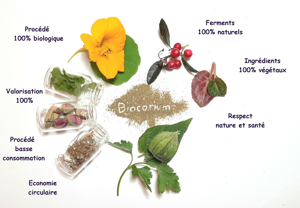 BioCorium développement durable