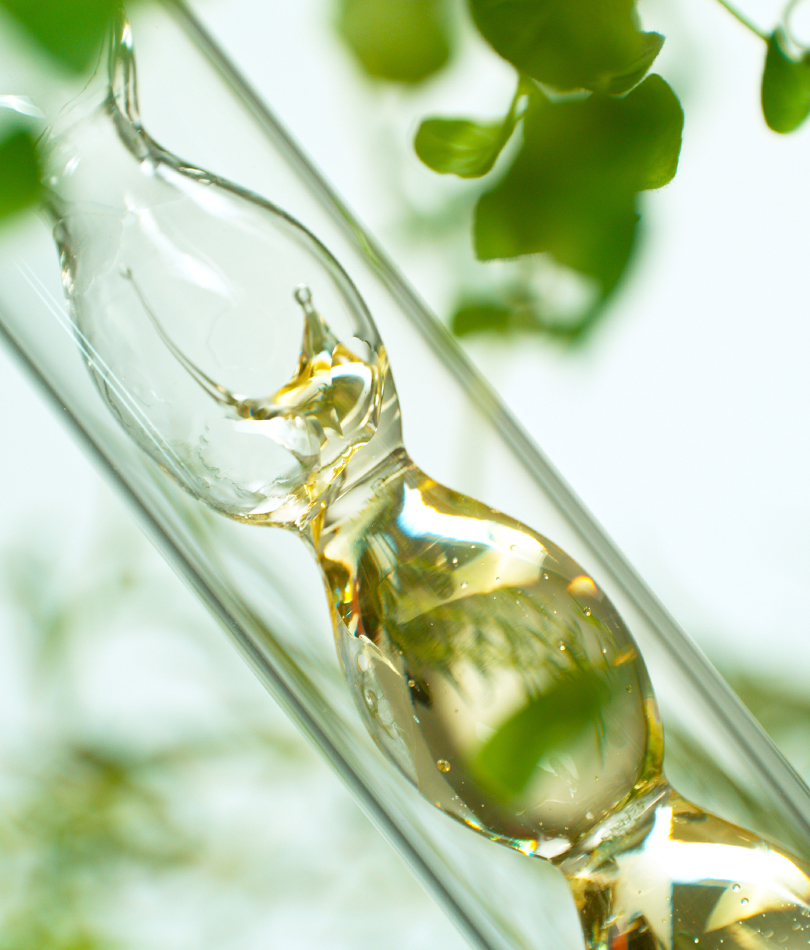valeurs laboratoire biocorium