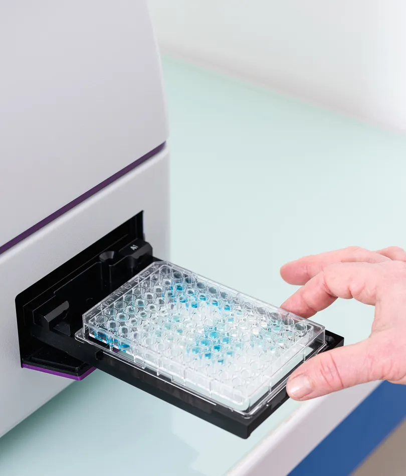 Biocorium développement sur mesure